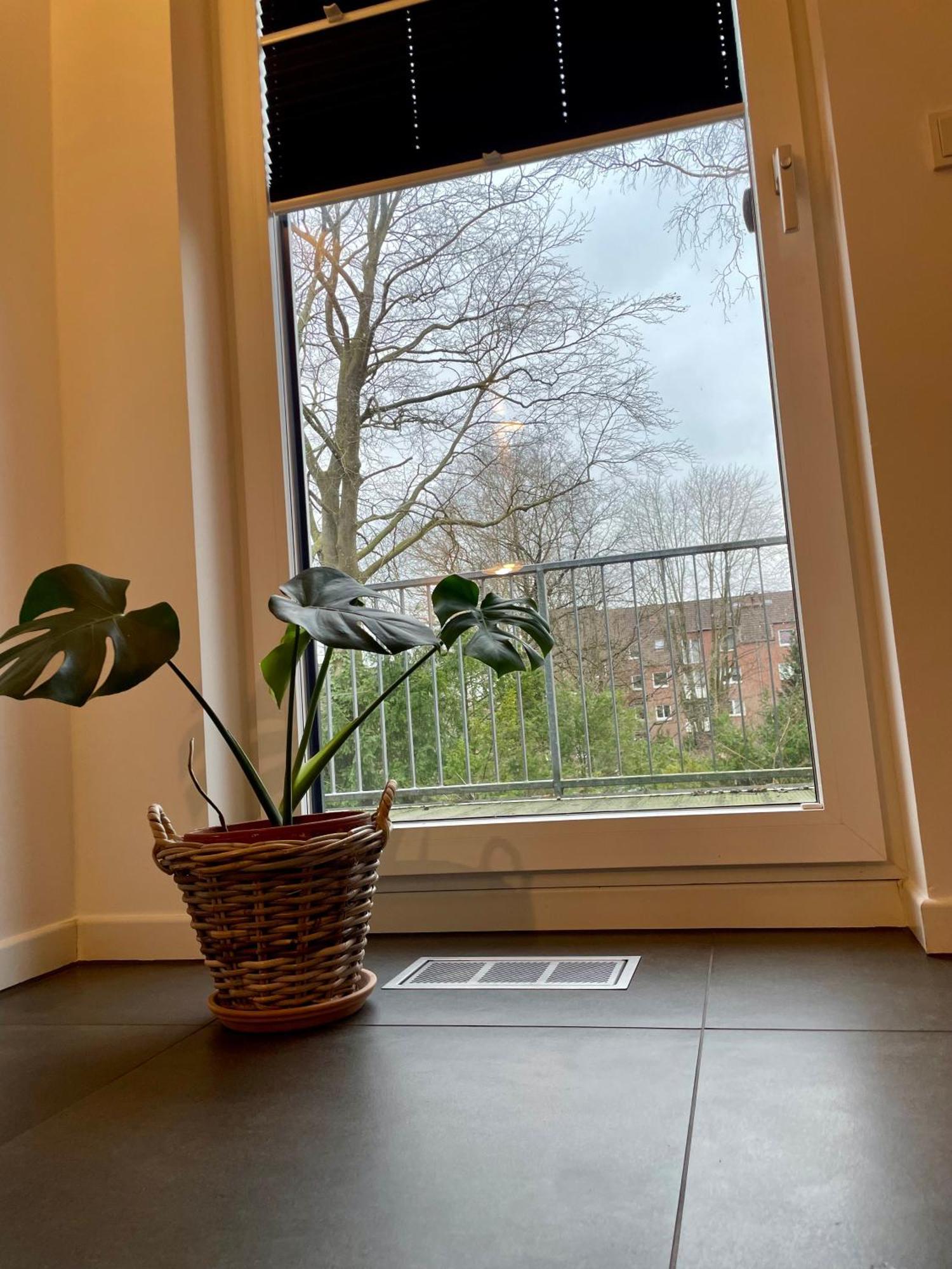 Modernes Holzhaus Im Skandinavischen Stil Mit Sauna, Garten Und 2 Katzen Norderstedt Eksteriør billede